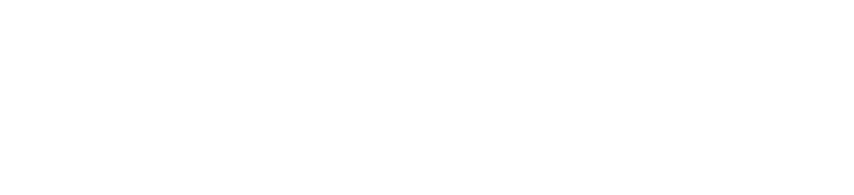 Partner 2
