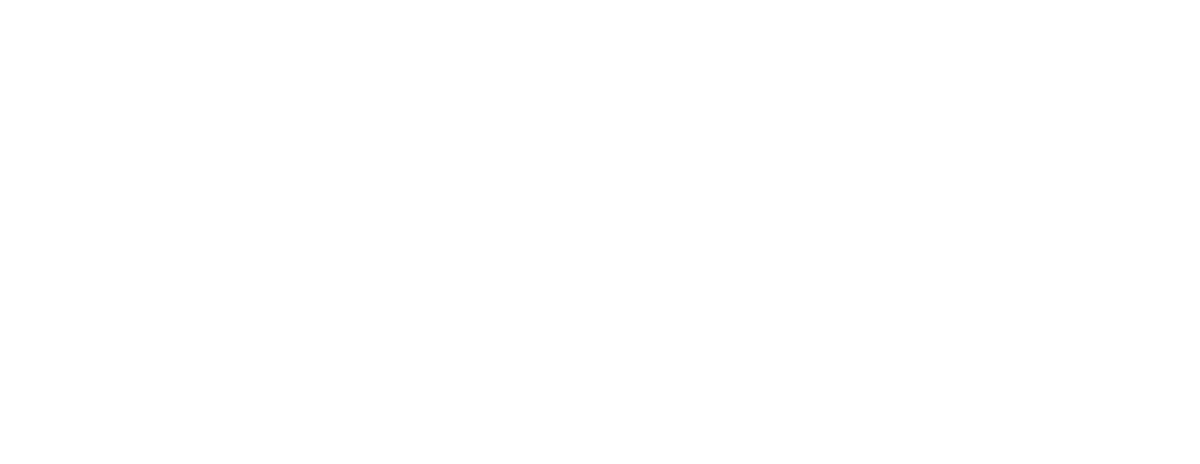 Partner 4